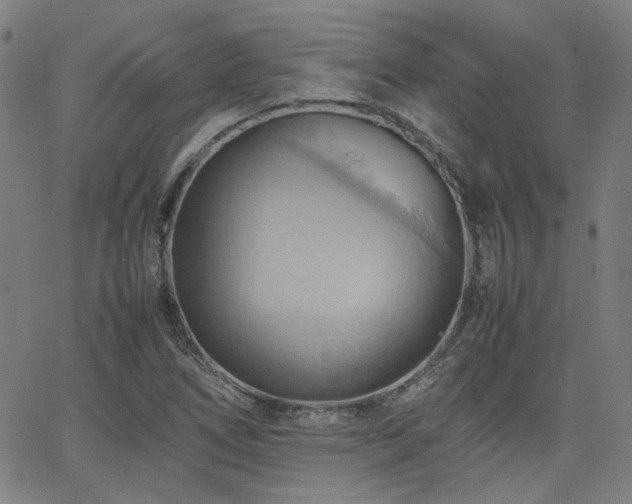 X0000064041266200601271153