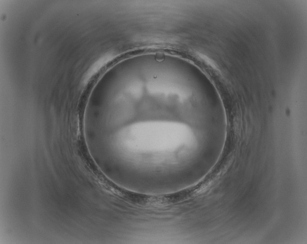 X0000064041267200601271153