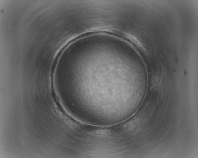 X0000064041268200601271153