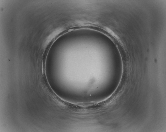 X0000064041269200601271153