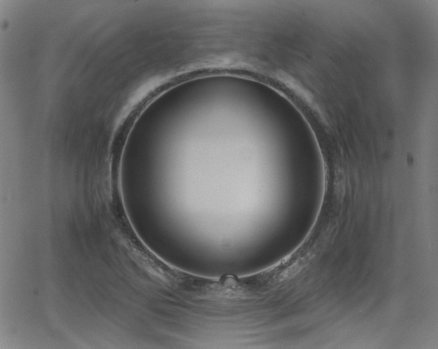 X0000064041270200601271153