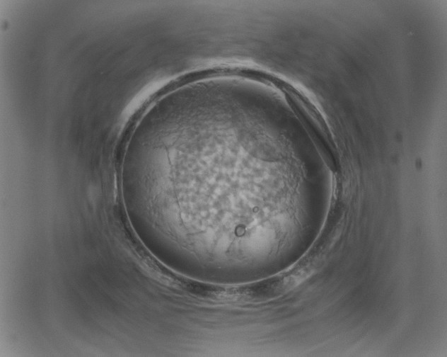 X0000064041271200601271153