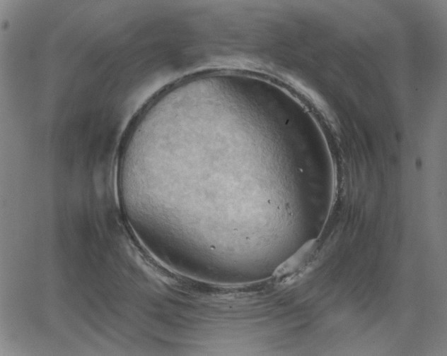 X0000064041272200601271153