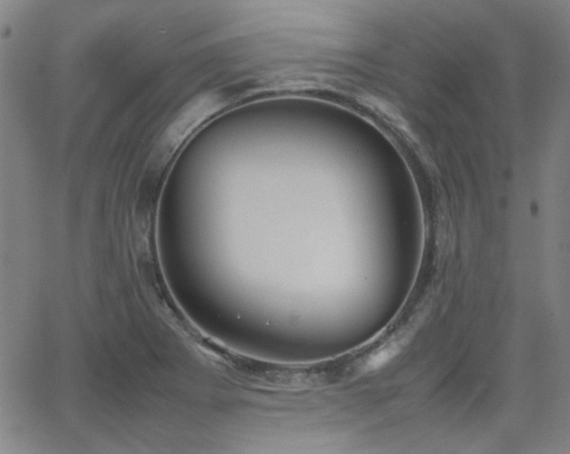 X0000064041273200601271153