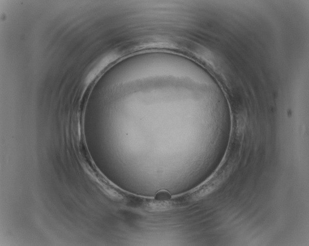 X0000064041274200601271153