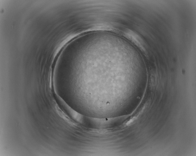 X0000064041276200601271153