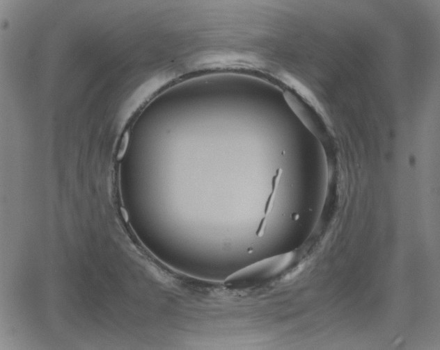 X0000064041277200601271153