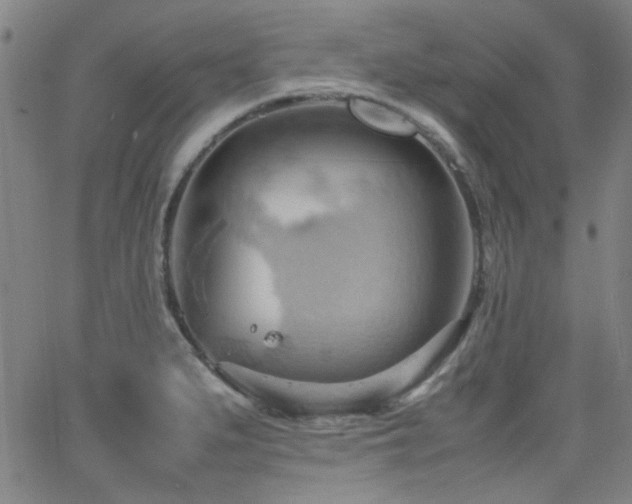 X0000064041279200601271153