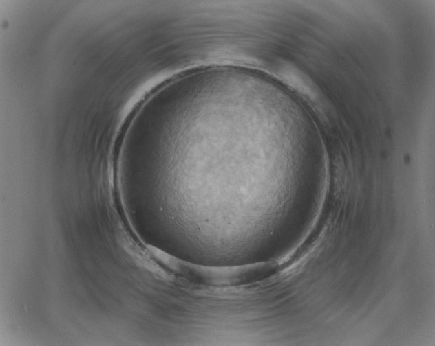 X0000064041280200601271153