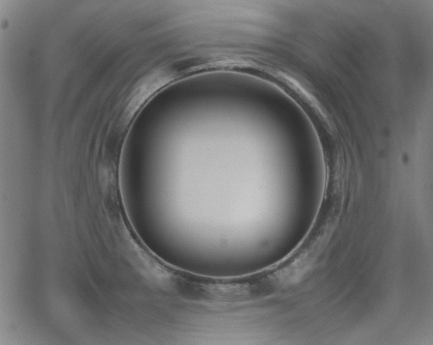 X0000064041281200601271153