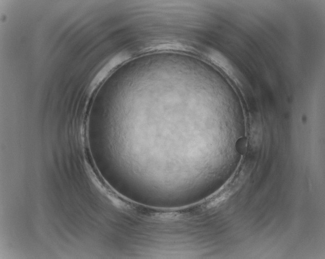 X0000064041282200601271153