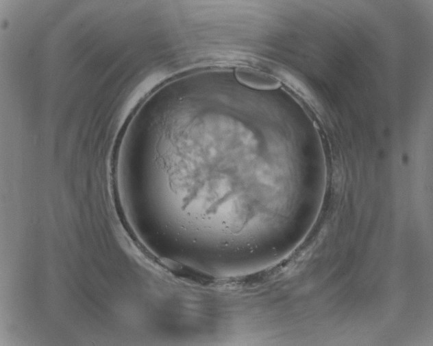 X0000064041283200601271153