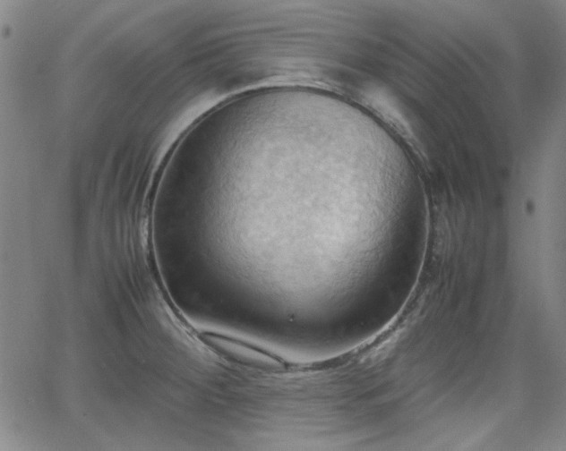 X0000064041284200601271153