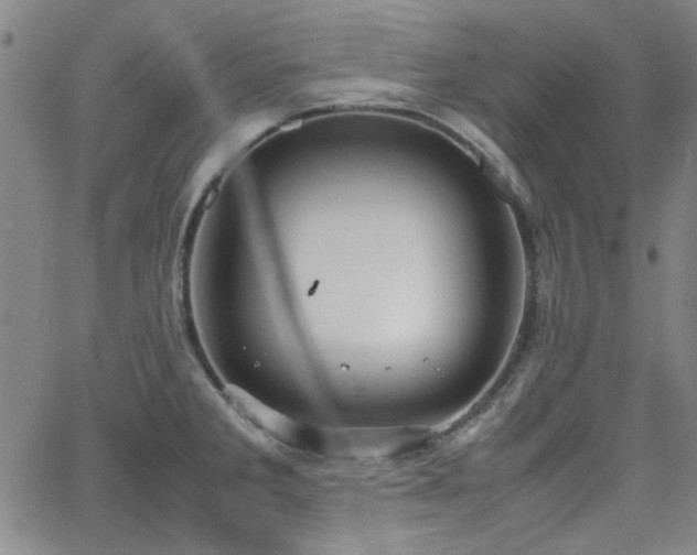 X0000064041285200601271153