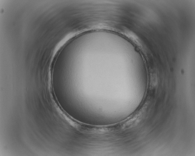 X0000064041286200601271153