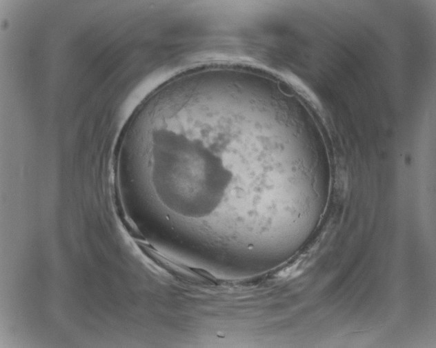 X0000064041287200601271153