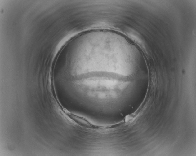 X0000064041288200601271153