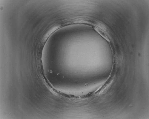 X0000064041289200601271153