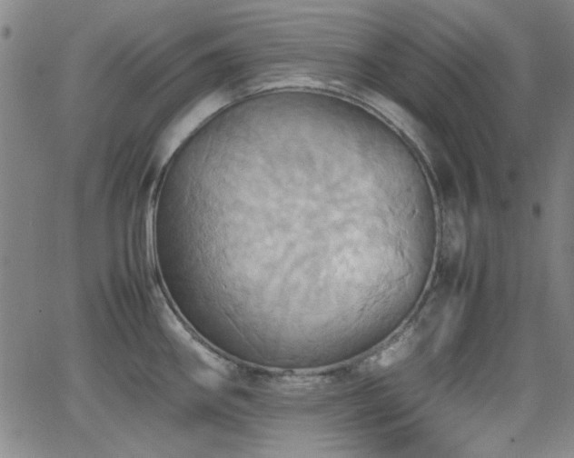 X0000064041290200601271153