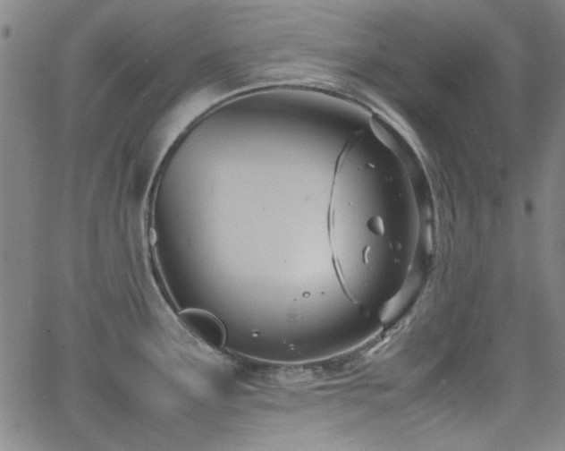 X0000064041291200601271153