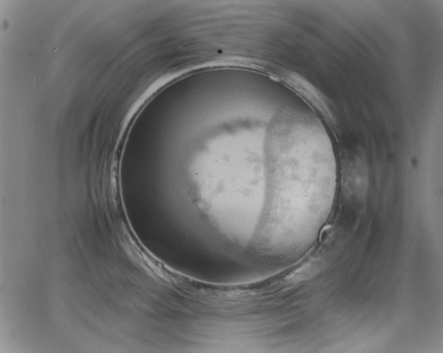 X0000064041292200601271153