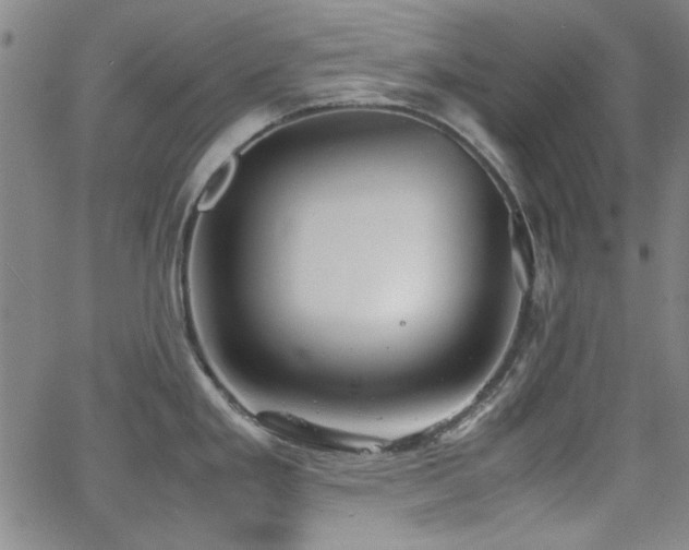 X0000064041293200601271153