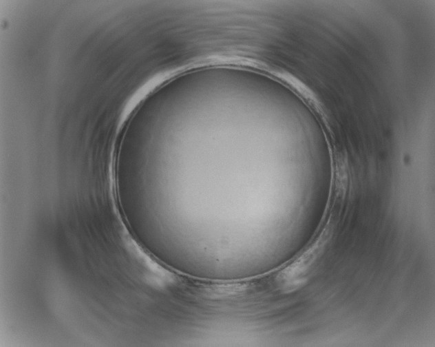 X0000064041294200601271153