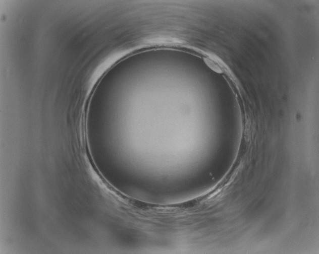 X0000064041295200601271153