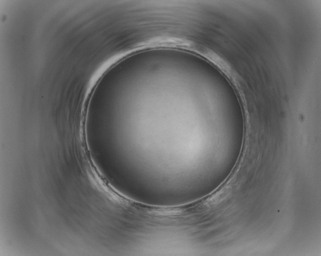 X0000064041296200601271153