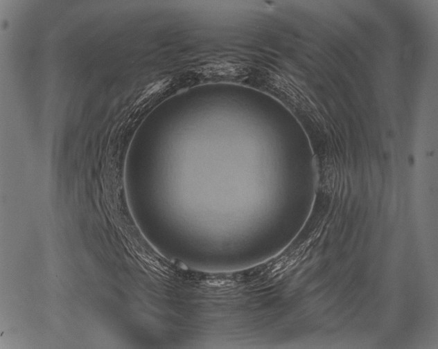 X0000064041297200601271152