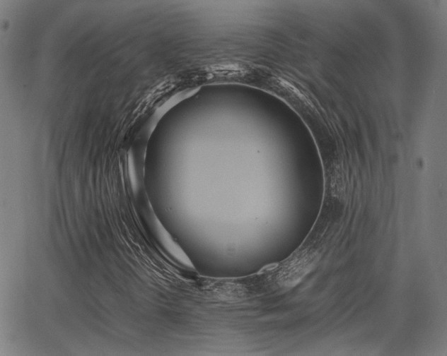 X0000064041298200601271152