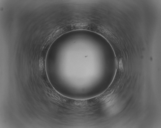 X0000064041299200601271152