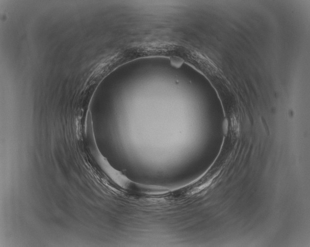 X0000064041300200601271152