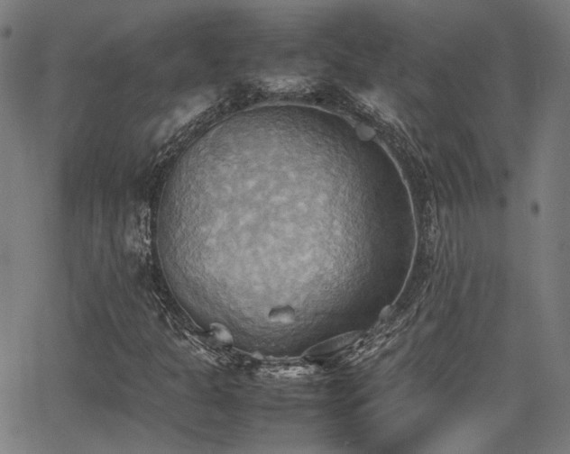 X0000064041301200601271152