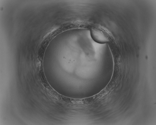 X0000064041302200601271152