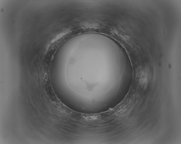 X0000064041303200601271152