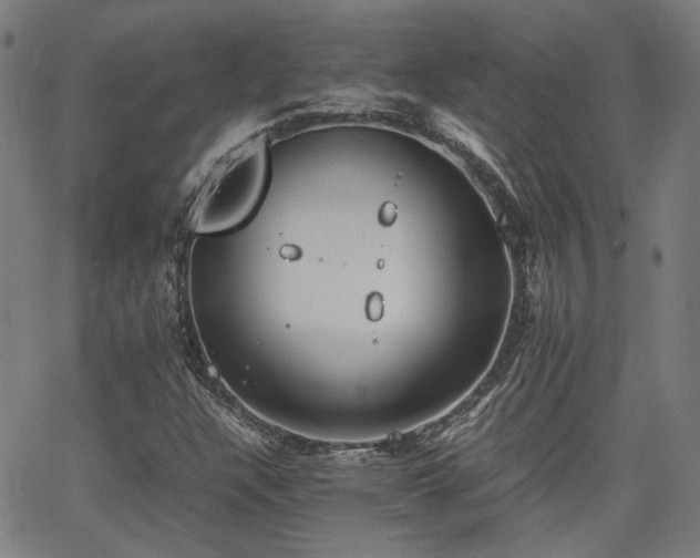 X0000064041304200601271152