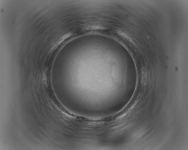 X0000064041305200601271152