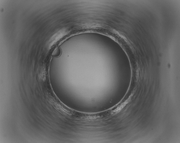 X0000064041306200601271152