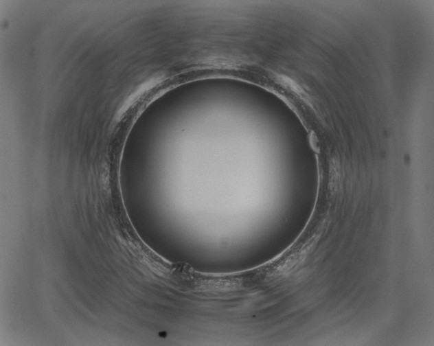 X0000064041307200601271152