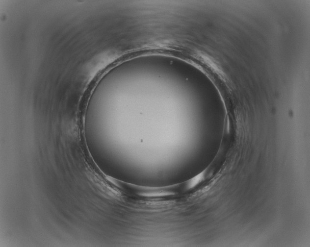 X0000064041308200601271152