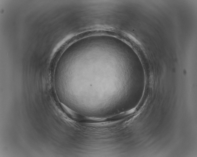 X0000064041310200601271152