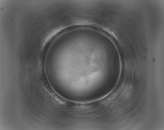 X0000064041311200601271152