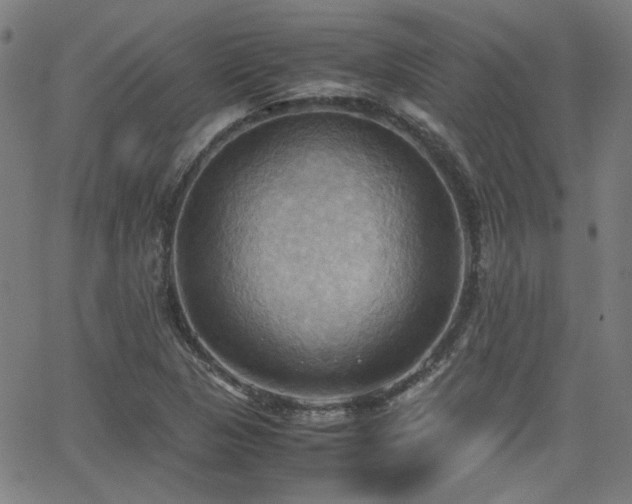 X0000064041313200601271152