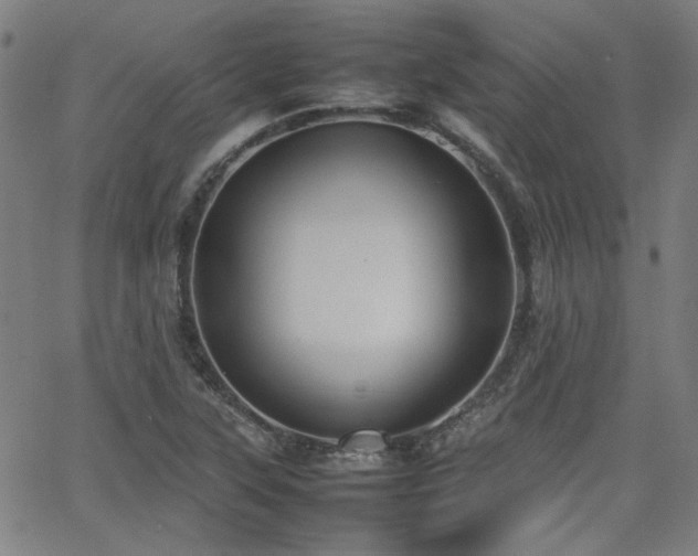 X0000064041315200601271152