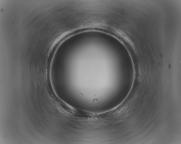 X0000064041316200601271152