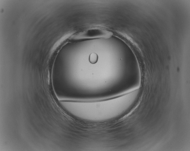 X0000064041317200601271152