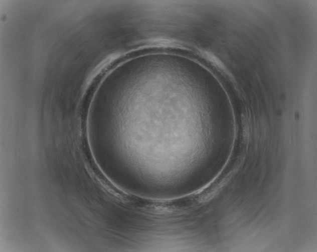 X0000064041318200601271152