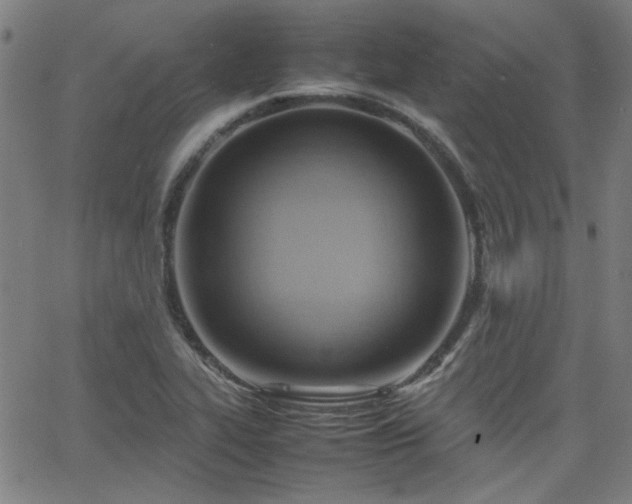 X0000064041319200601271152