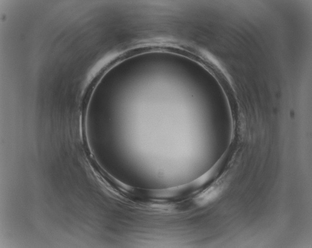 X0000064041320200601271152